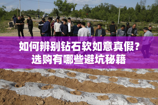 如何辨别钻石软如意真假？选购有哪些避坑秘籍
